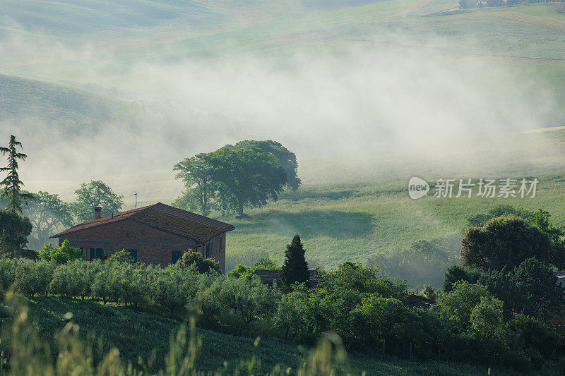 托斯卡纳风景Val d'Orcia干草田与雾